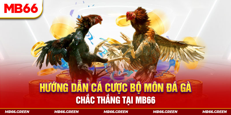 123goal CQ9 Điện Tử