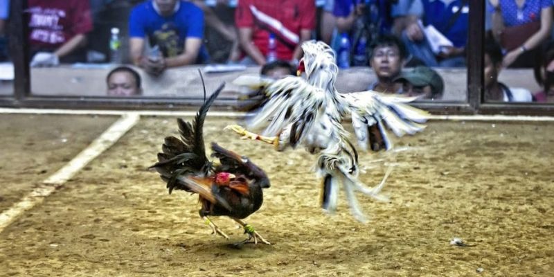123goal xổ số miền bắc hôm quả
