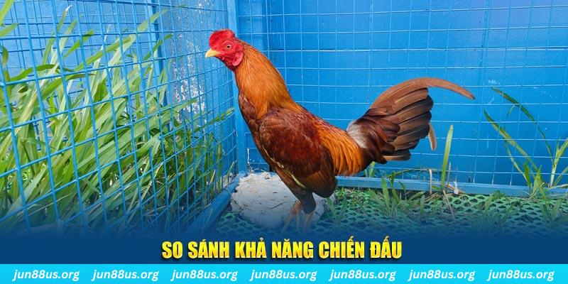 123goal xổ số tiền giang