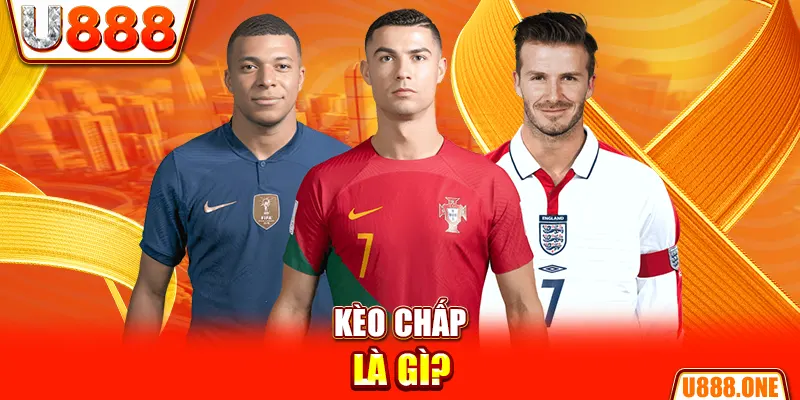 123goal chổi lông gà
