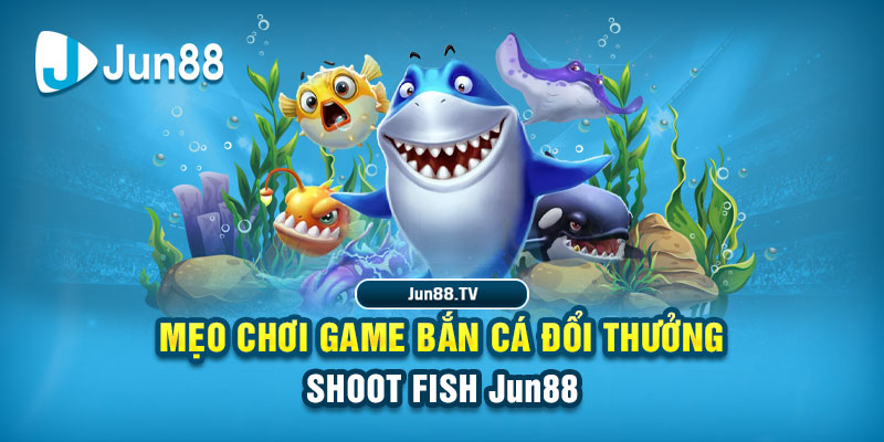 123goal tai game danh bai bigkool ve may tinh