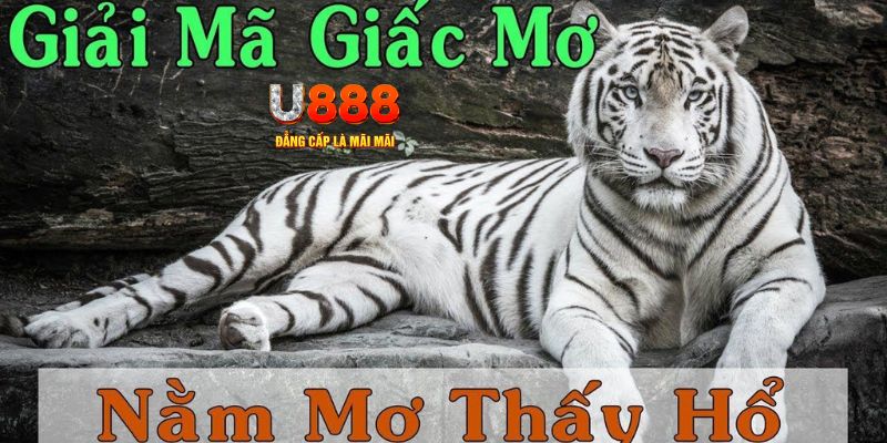 123goal xổ số kiến thiết miền bắc