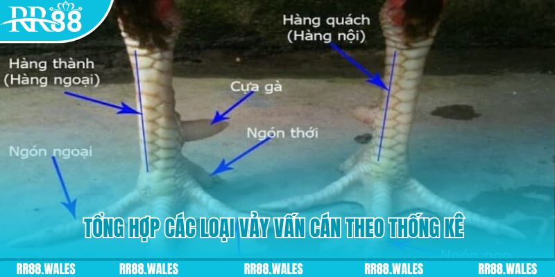 123goal nổ hũ chơi như thế nào