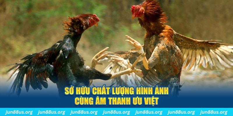 123goal tai game danh bai ve may tinh