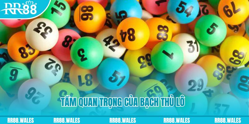 123goal đá gà trực tiếp casino