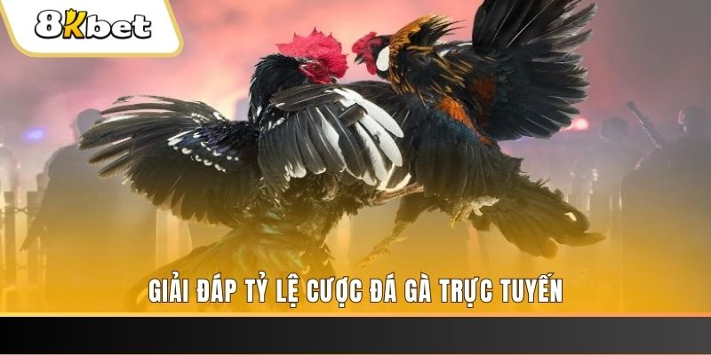 123goal xổ số ba đài