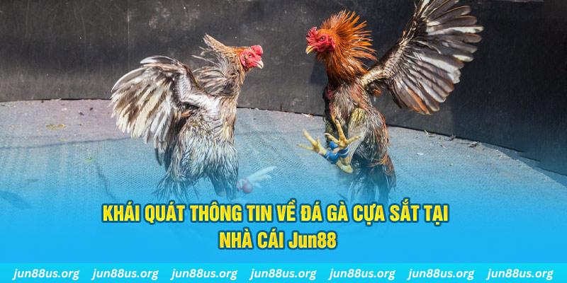 123goal game bài trên máy tính