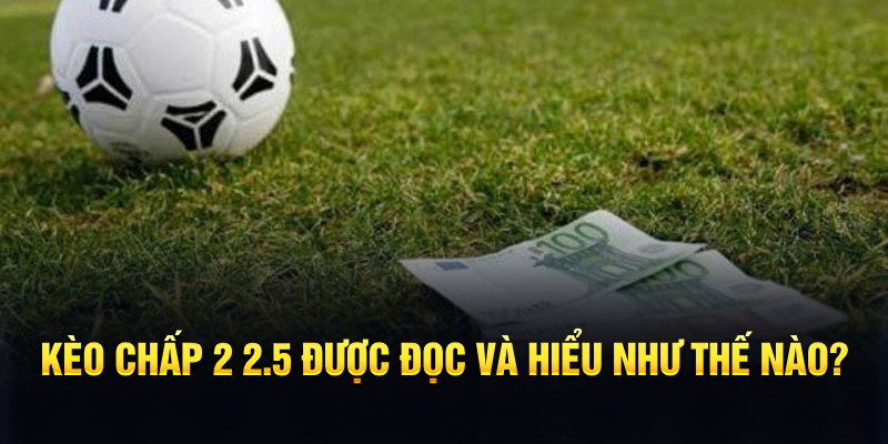 123goal đá gà thomo